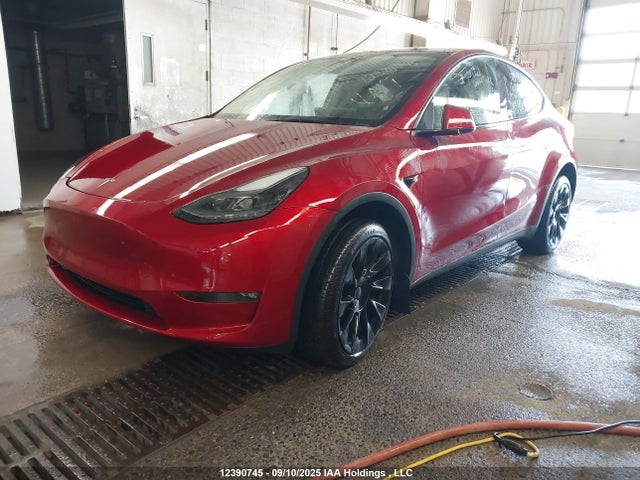 Tesla Model Y 2024 7SAYGDEE6RF204801 Image 2