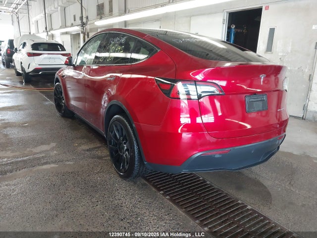 Tesla Model Y 2024 7SAYGDEE6RF204801 Image 3