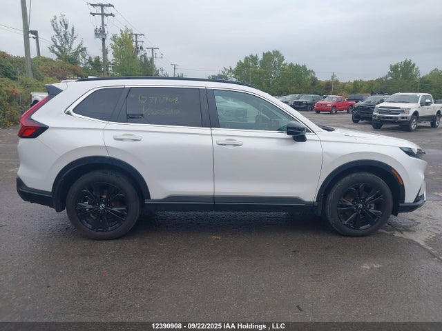 12390908 :رقم المزاد ، 2HKRS6H93PH203310 vin ، 2023 Honda Cr-v Sport Touring مزاد بيع