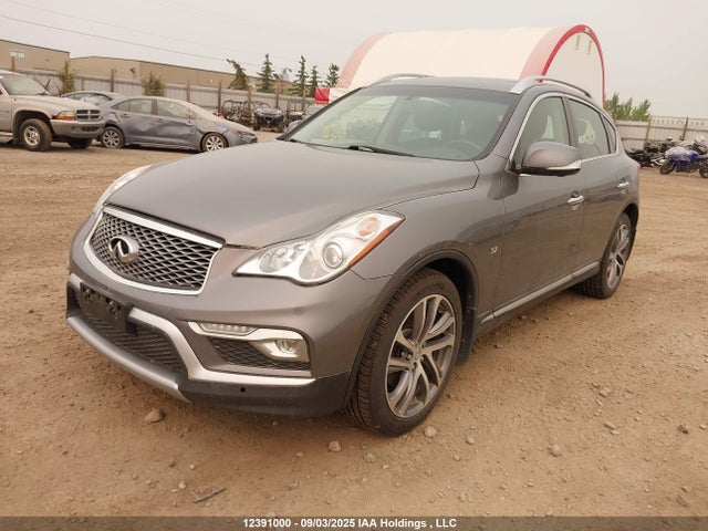 JN1BJ0RR0GM266549 Infiniti QX50