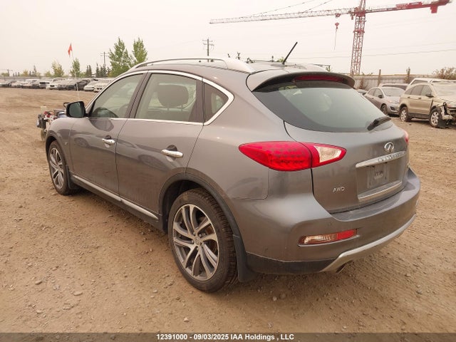JN1BJ0RR0GM266549 Infiniti QX50