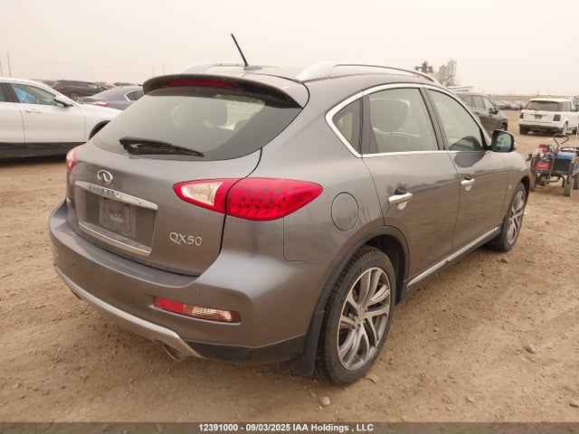 JN1BJ0RR0GM266549 Infiniti QX50