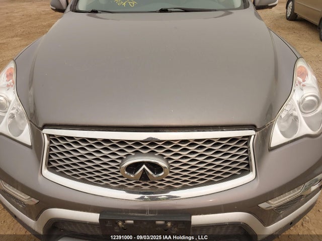 JN1BJ0RR0GM266549 Infiniti QX50