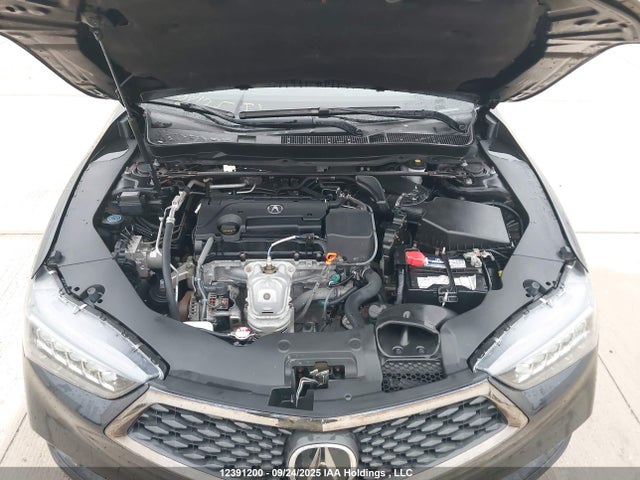 19UUB1F66KA800216 Acura k24w7