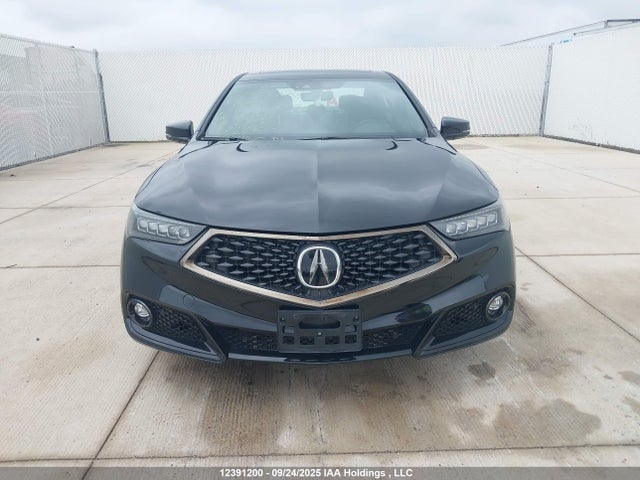 19UUB1F66KA800216 Acura k24w7