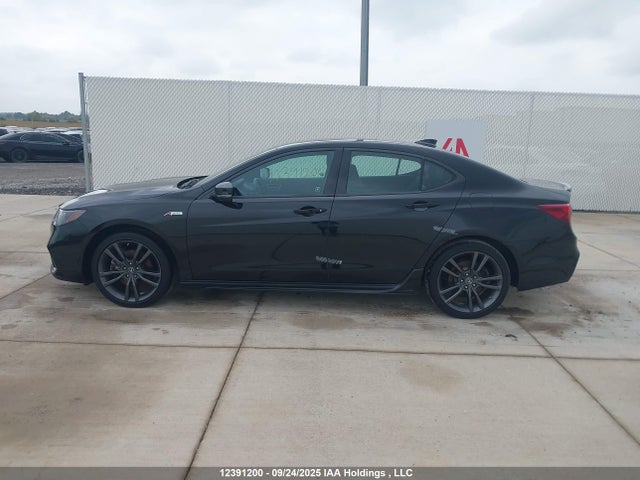 19UUB1F66KA800216 Acura k24w7
