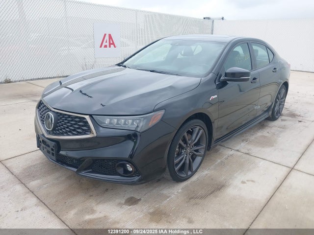 19UUB1F66KA800216 Acura k24w7