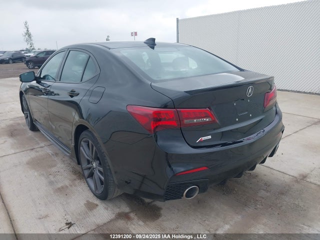 19UUB1F66KA800216 Acura k24w7