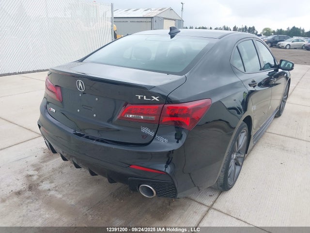 19UUB1F66KA800216 Acura k24w7