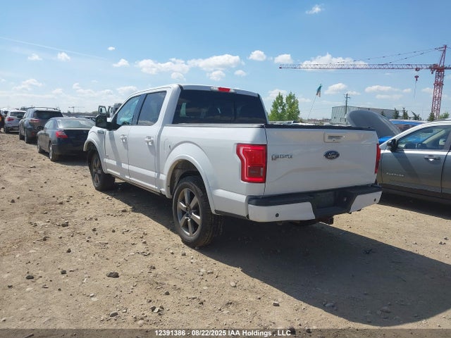 1FTEW1EG4FFC39346 Ford F-150