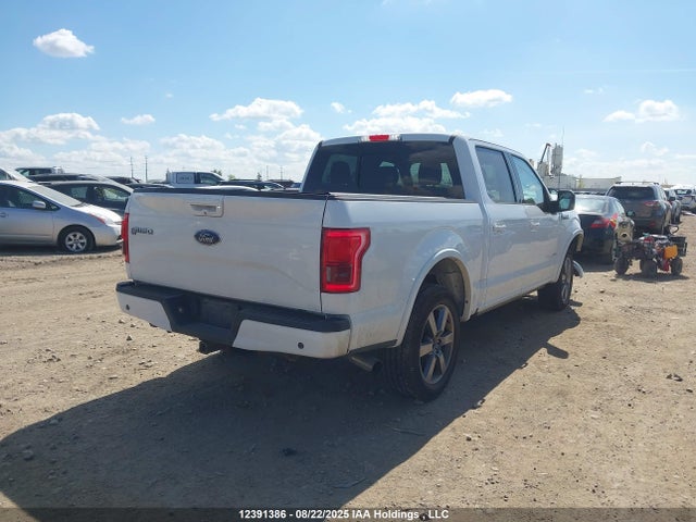 1FTEW1EG4FFC39346 Ford F-150