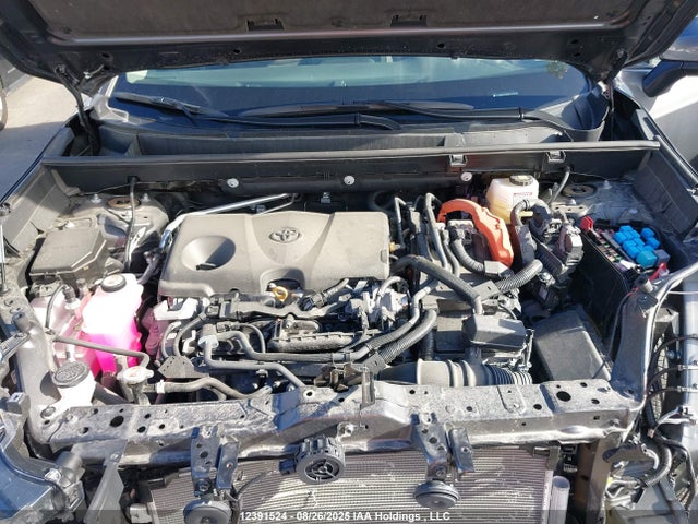 12391524 :رقم المزاد ، 2T3RWRFVXRW244793 vin ، 2024 Toyota Rav4 Hybrid Xle مزاد بيع