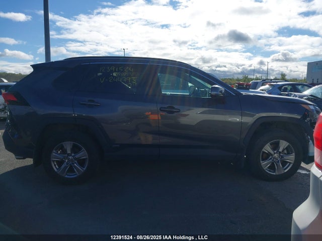 12391524 :رقم المزاد ، 2T3RWRFVXRW244793 vin ، 2024 Toyota Rav4 Hybrid Xle مزاد بيع
