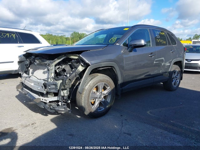 12391524 :رقم المزاد ، 2T3RWRFVXRW244793 vin ، 2024 Toyota Rav4 Hybrid Xle مزاد بيع