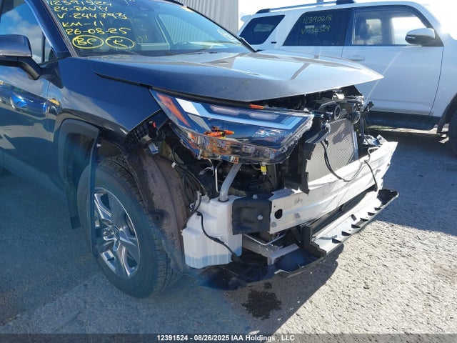 12391524 :رقم المزاد ، 2T3RWRFVXRW244793 vin ، 2024 Toyota Rav4 Hybrid Xle مزاد بيع