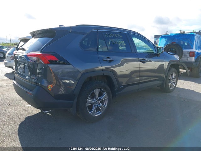 12391524 :رقم المزاد ، 2T3RWRFVXRW244793 vin ، 2024 Toyota Rav4 Hybrid Xle مزاد بيع