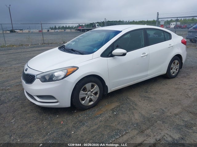 KIA Forte 2014 KNAFK4A61E5082603 Image 2