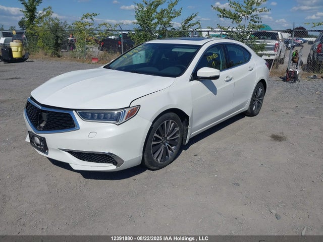 Acura j35y6 2019 19UUB3F50KA801848 Image 2