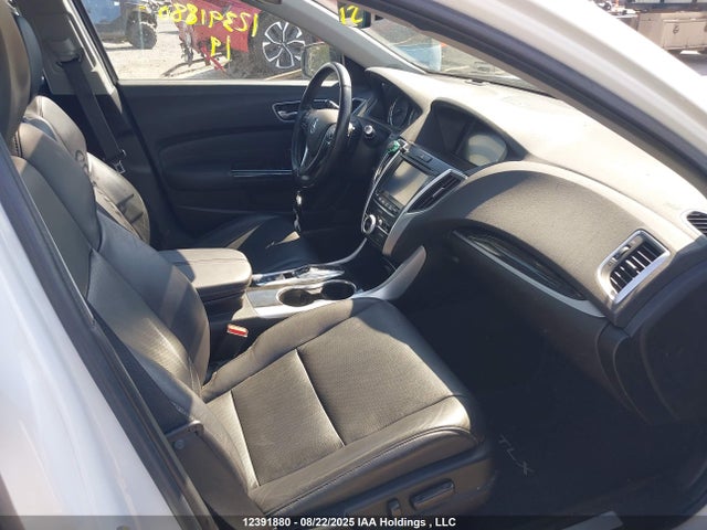 Acura j35y6 2019 19UUB3F50KA801848 Image 5