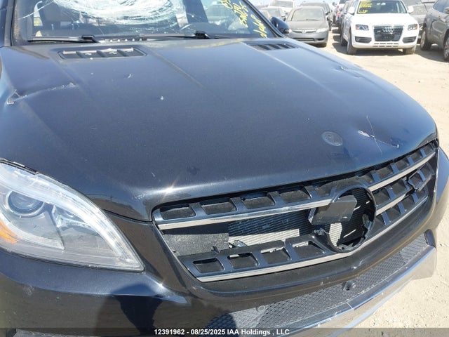 Mercedes-Benz Ml-Class 2015 4JGDA7DB7FA579070 Image 12