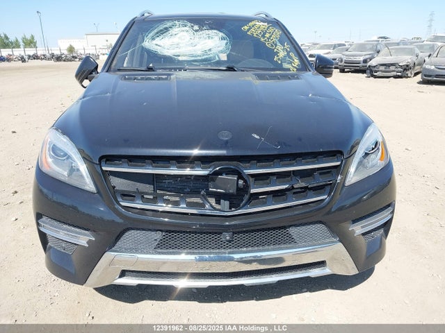 Mercedes-Benz Ml-Class 2015 4JGDA7DB7FA579070 Image 13