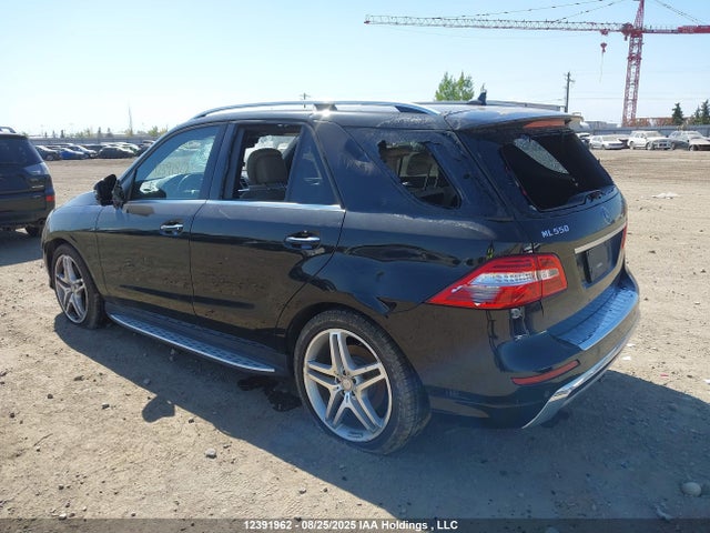 Mercedes-Benz Ml-Class 2015 4JGDA7DB7FA579070 Image 3