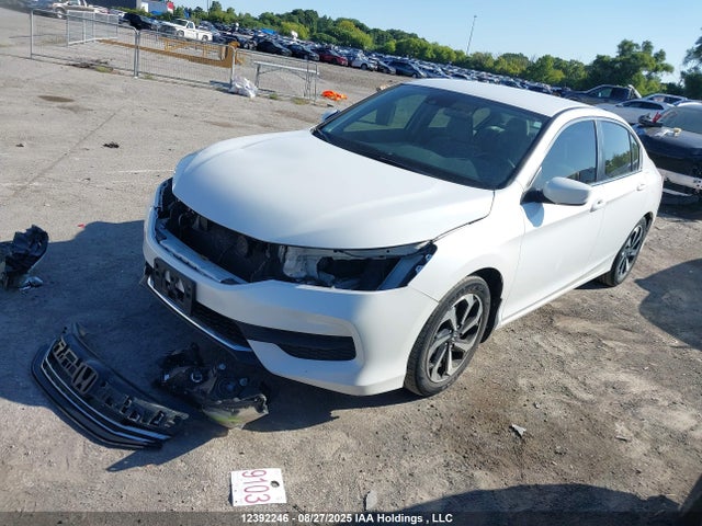 1HGCR2F42GA802175 Honda k24w1