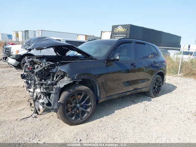 5UXCR6C53KLL28817 BMW 2019