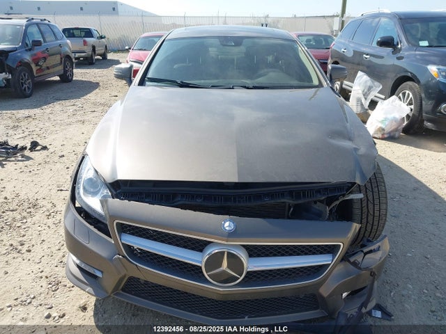 Mercedes-Benz 2014 2014 WDDLJ9BB7EA113951 Image 12