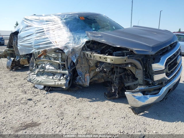 1FTEW1EB1PKD65984 Ford tivct