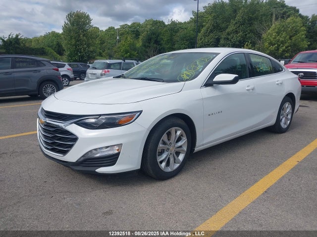 1G1ZD5ST5RF203047 Chevrolet lfv