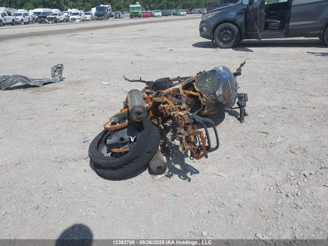2009 Kawasaki Ex500 D მანქანა იყიდება აუქციონზე, vin: JKAEXVD129A115430, აუქციონის ნომერი: 12392768
