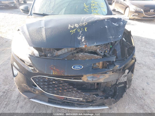 Ford 2020 2020 1FMCU9DZ4LUB27163 Image 9
