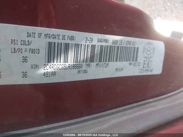 Dodge 2020 2020 2C4RDGCG5LR186660 Image 9