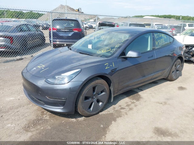Tesla MODEL 3 2023 5YJ3E1EA1PF426832 Image 2