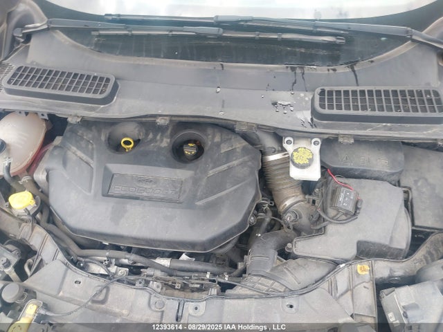 Ford 2019 2019 1FMCU9J91KUC13159 Image 10