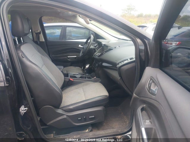 Ford 2019 2019 1FMCU9J91KUC13159 Image 5