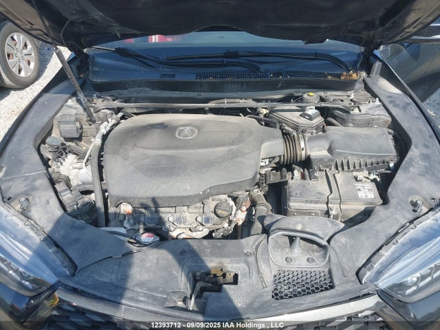19UUB3F81LA800929 Acura j35y6