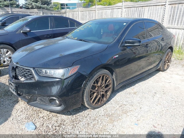 19UUB3F81LA800929 Acura j35y6