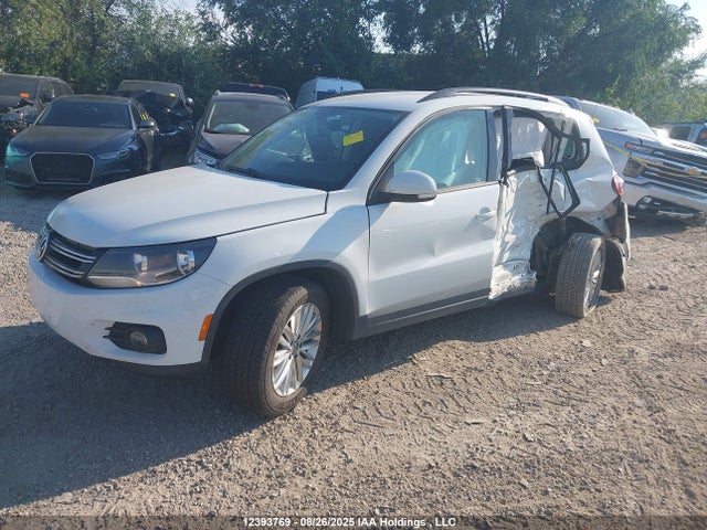 WVGJV7AX4GW091366 Volkswagen Tiguan Comfortline/highline/special Edition