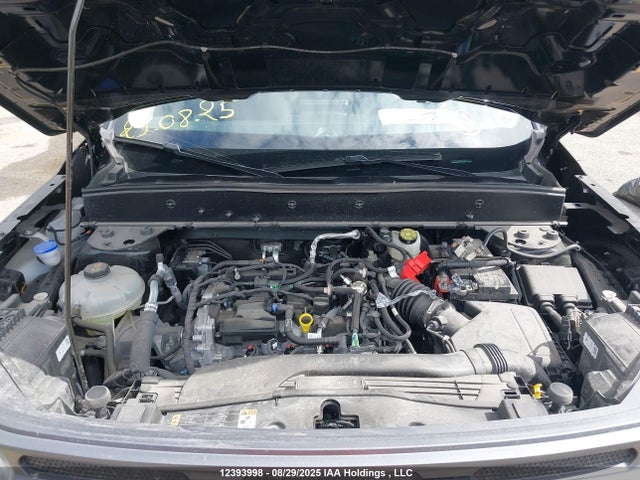 3FMCR9B66RRE58076 Ford dragon