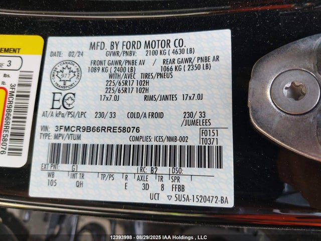 3FMCR9B66RRE58076 Ford dragon