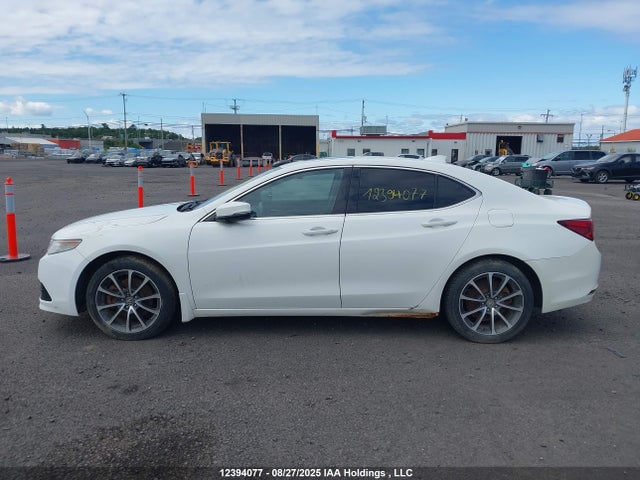 19UUB3F51HA801544 Acura j35y6