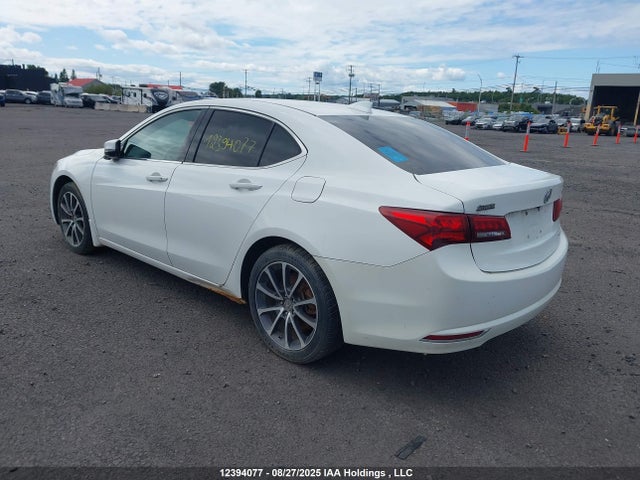 19UUB3F51HA801544 Acura j35y6