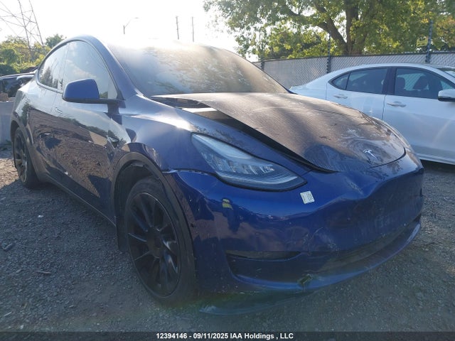 5YJYGDEDXMF121210 Tesla Model Y