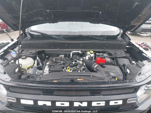 3FMCR9C65RRE49349 Ford dragon