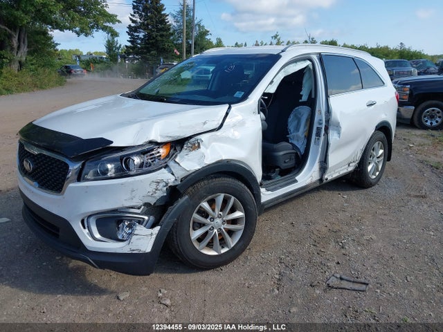 5XYPGDA11HG233674 KIA Sorento
