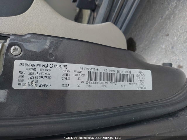 Dodge 2017 2017 2C4RDGBG9HR875786 Image 9