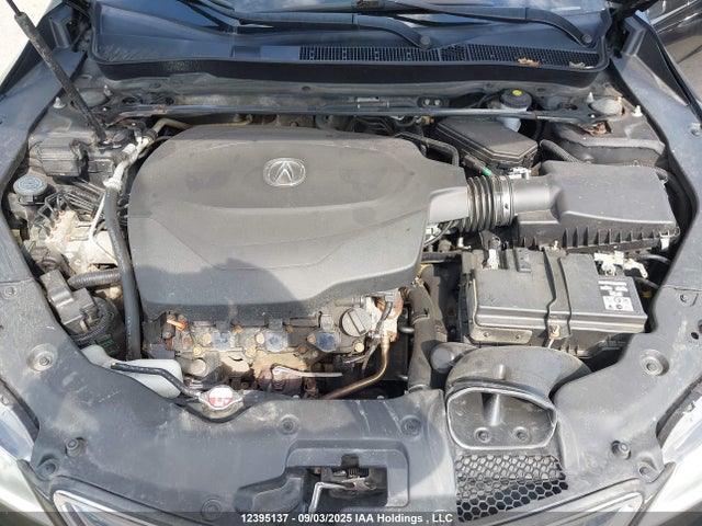 19UUB3F56FA803478 Acura j35y6