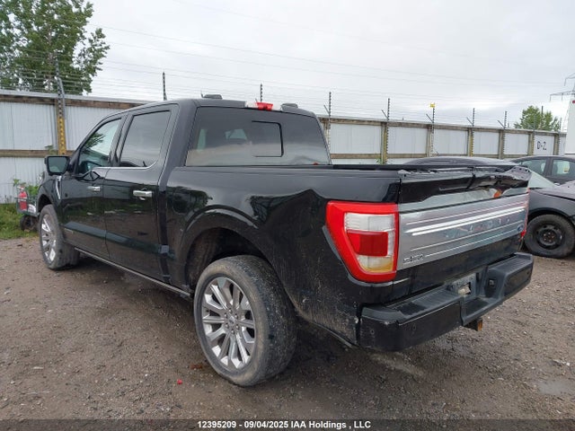 Ford hev 2022 1FTFW1ED3NFB41210 Image 3